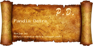 Pandia Detre névjegykártya